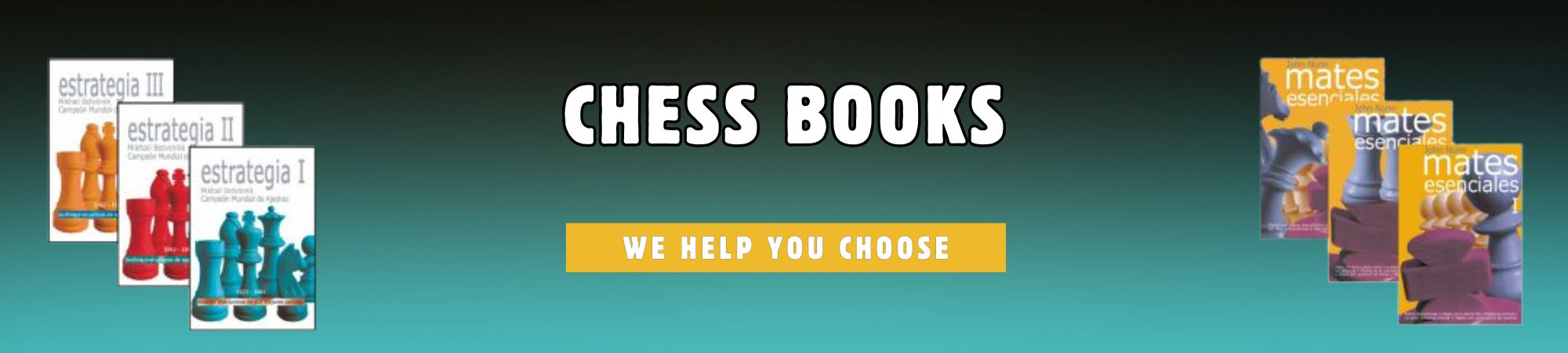 chess books pc